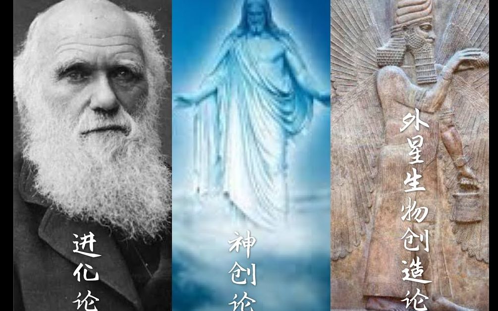 进化论还是神创论?人类起源的最终真相