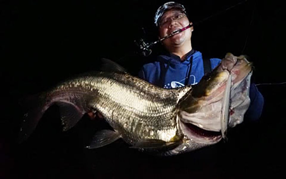 蓝旗鱼路亚 | 翘嘴炸水时,一定主攻上层吗?来自小汐骆马湖的实战反思