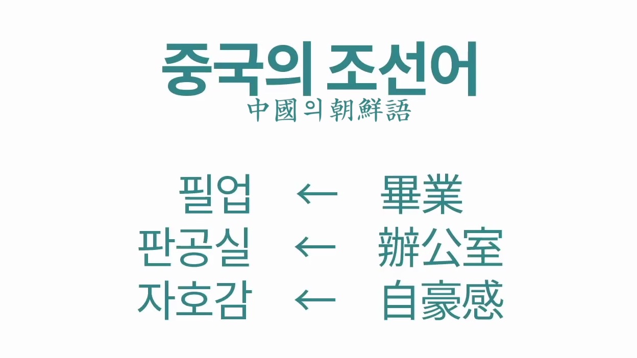 [训读幻想/朝鲜语] 韩国人解说中国朝鲜族朝鲜语的特点哔哩哔哩bilibili