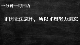 一分钟一句日语 力不能及 实难承诺 不周之处 尚请见谅 哔哩哔哩 つロ干杯 Bilibili