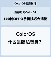 Download Video: ColorOS什么是隐私替身