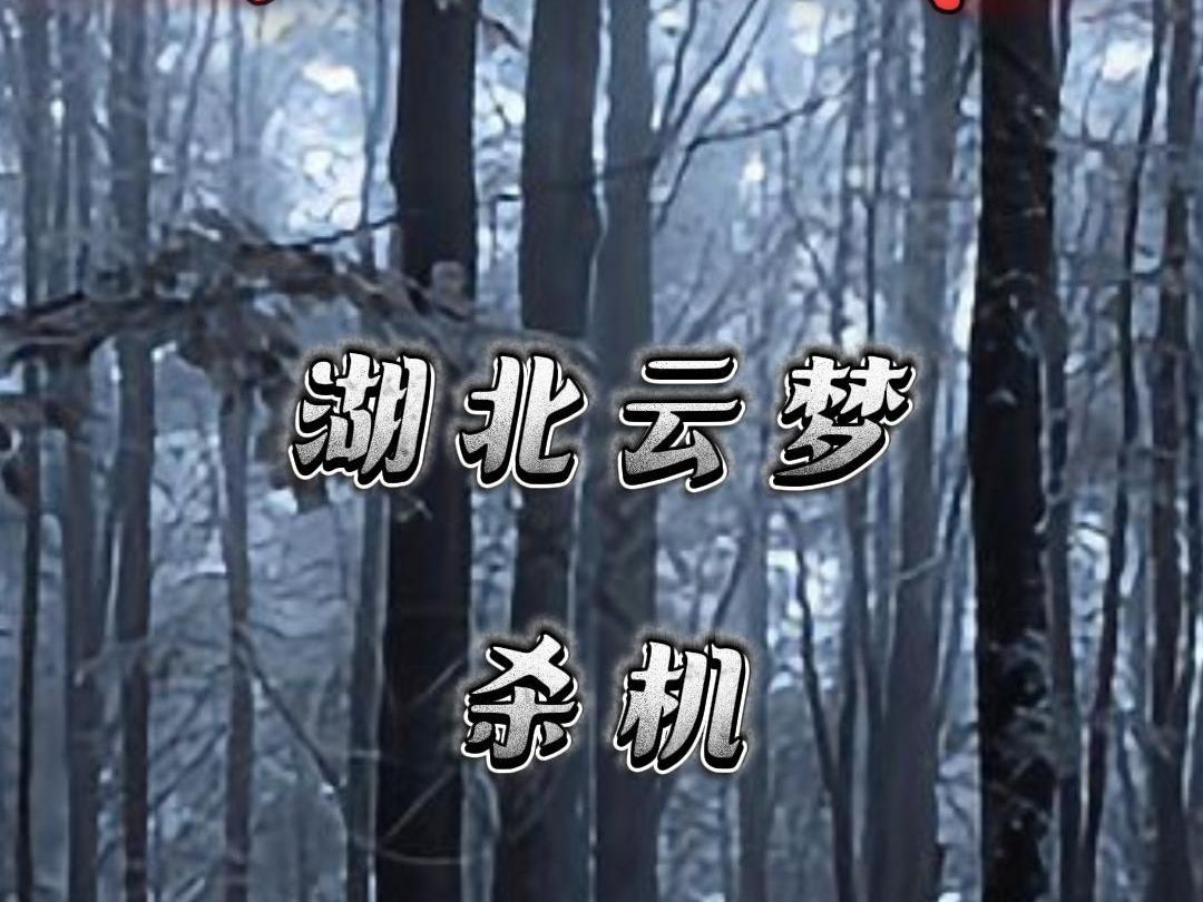 重案纪实:湖北云梦 杀机哔哩哔哩bilibili