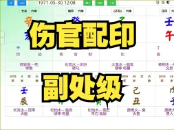 Download Video: 伤官配印，副处级