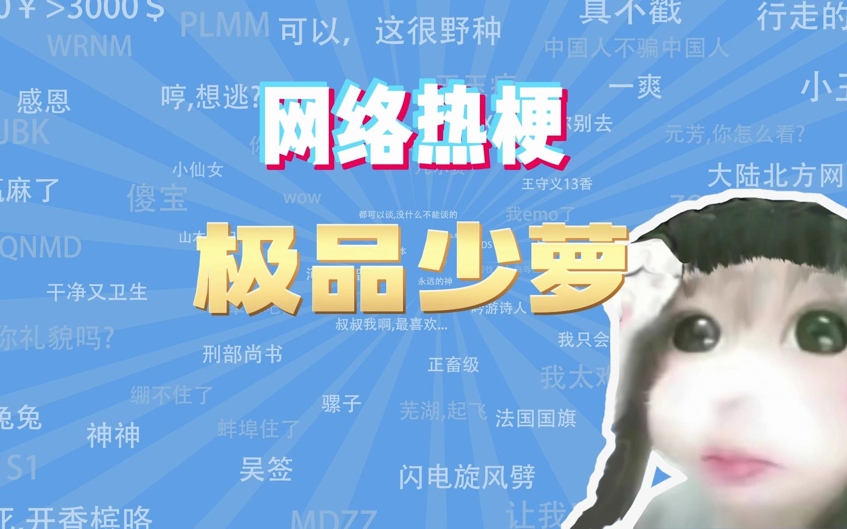 【网梗课代表】极品少萝是什么梗？-网梗课代表-网梗课代表-哔哩哔哩视频