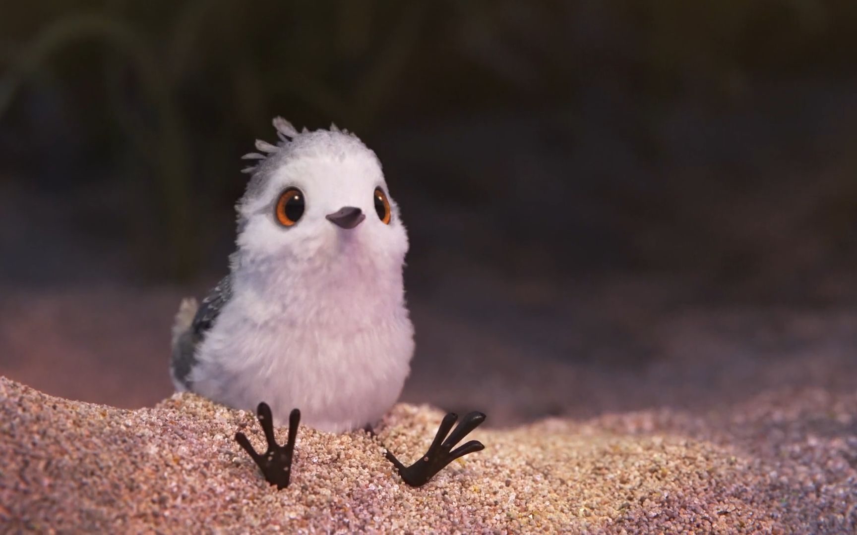 迪士尼获奖动画短片 鹬_高清 1080p_哔哩哔哩_bilibili