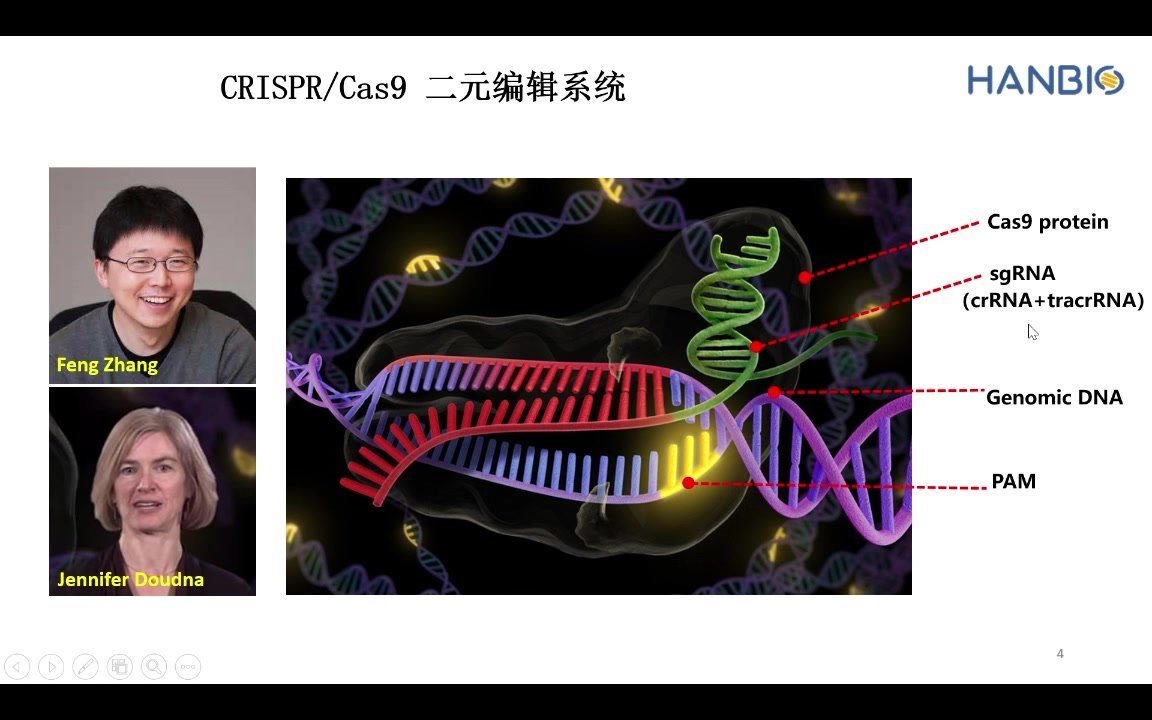 [图]走进CRISPR/Cas9——sgRNA质粒构建