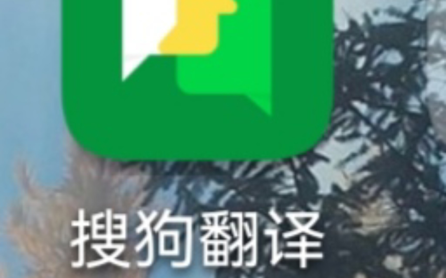 好用的翻译软件哔哩哔哩bilibili