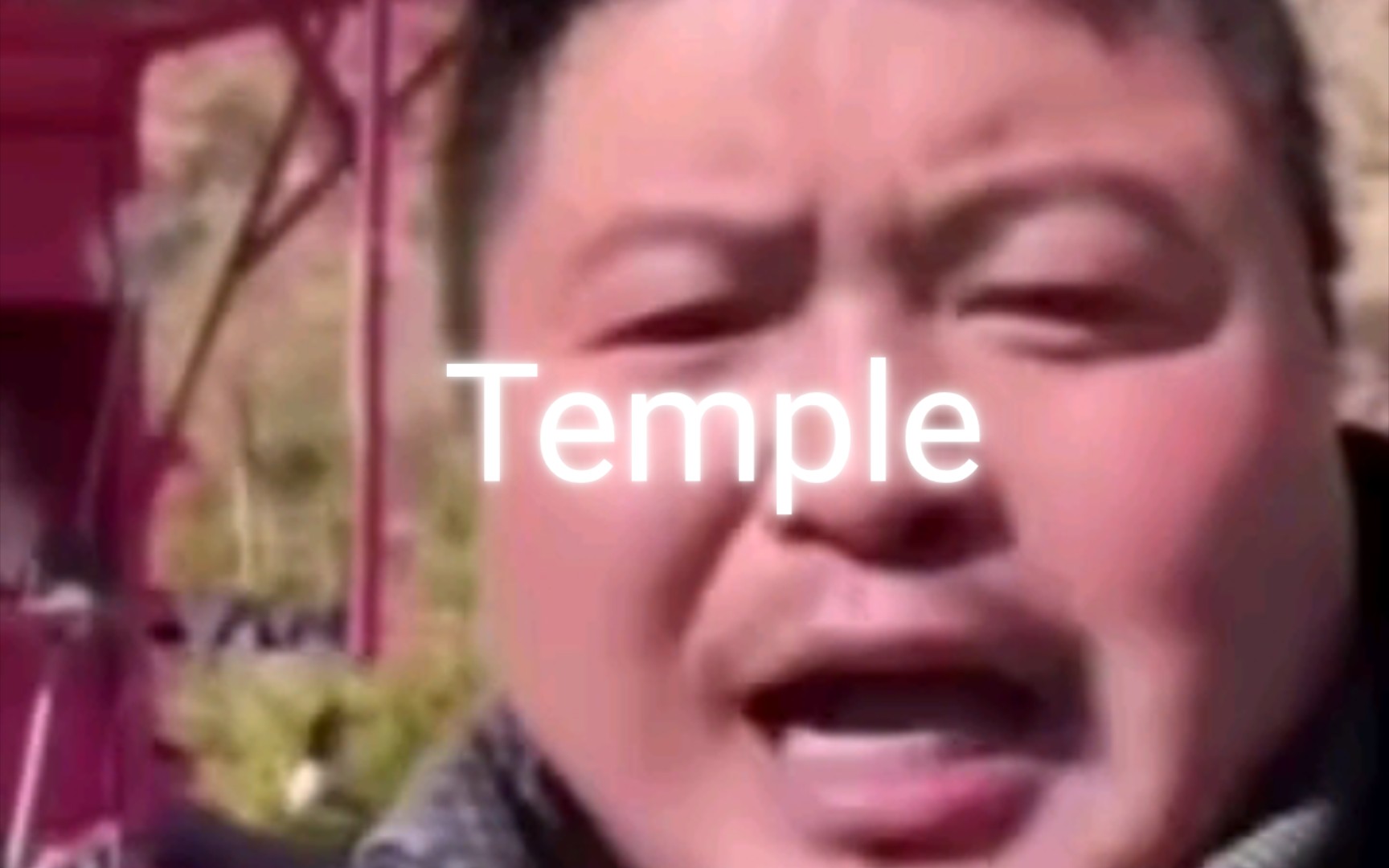 [图]丽丽的传奇人生 Temple