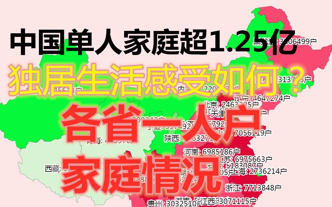 独居青年!独居老人!中国单人家庭超1.25亿!一人住、一人食、一人游,自由自在!你独居了吗?感受如何?各省一人户家庭情况数据可视化哔哩哔哩...