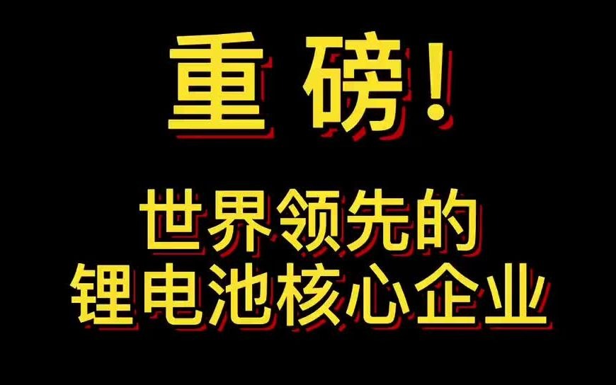 重磅!世界领先的锂电池核心企业哔哩哔哩bilibili