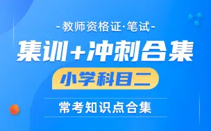 【教师资格证考试】小学科目二-教育教学知识与能力集训冲刺精讲