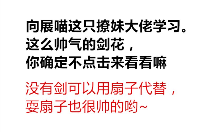 【展昭转剑的剑花教程】93包青天里常见的几种剑花哔哩哔哩bilibili