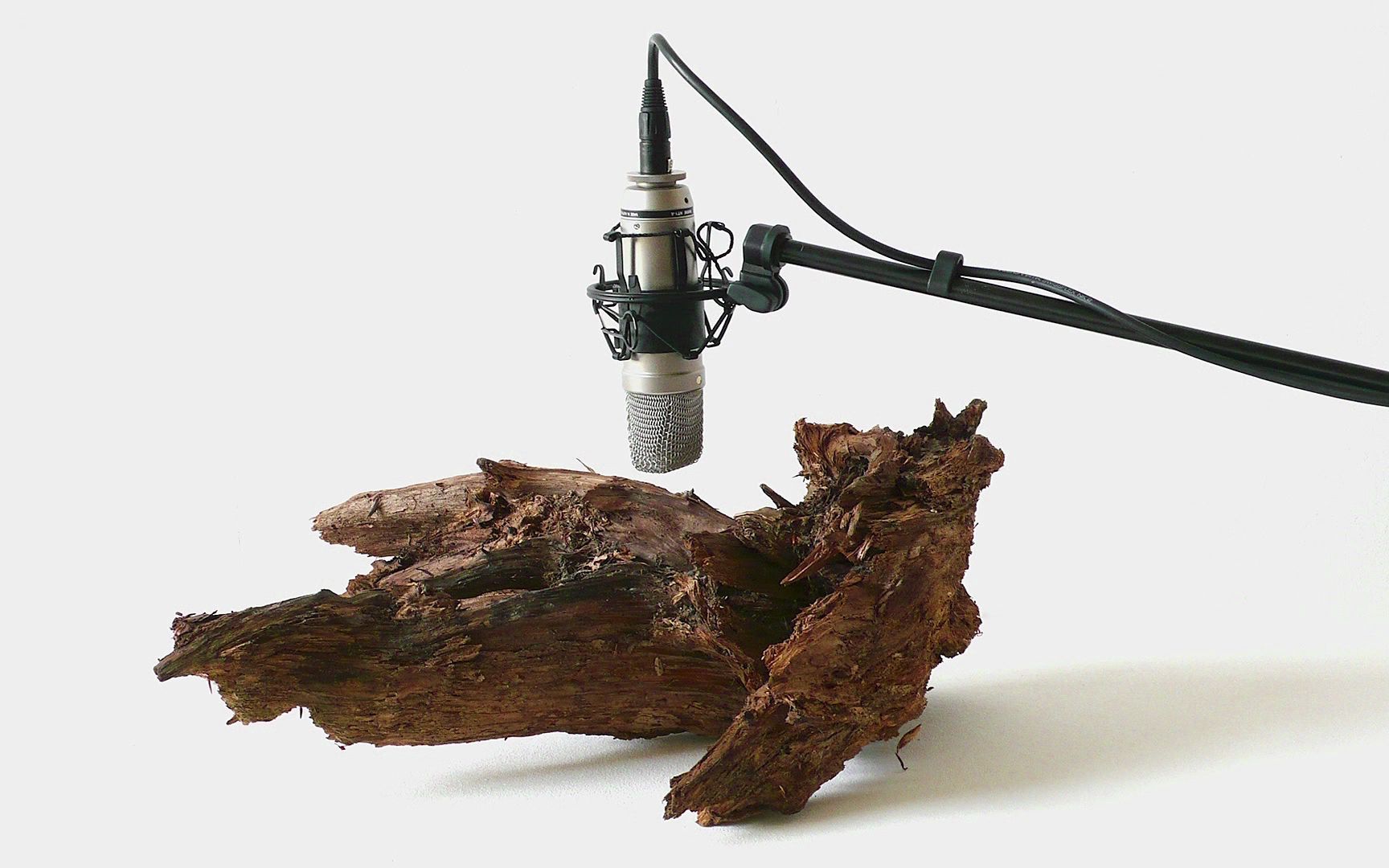 [图]Zimoun - 25 woodworms, wood, microphone, sound system, 2009