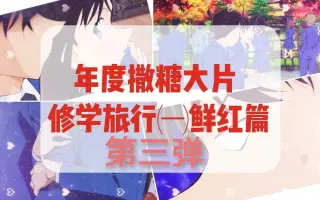 红色修学旅行篇 搜索结果 哔哩哔哩 Bilibili