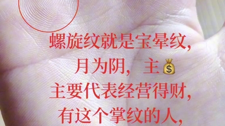 十分罕见的宝晕纹