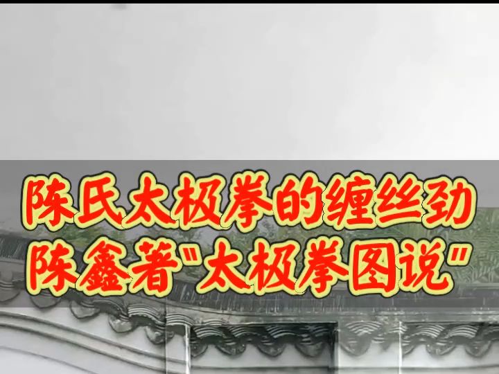 陈氏太极拳的缠丝劲,陈鑫“太极拳图说”应该怎样学习,头虚领?哔哩哔哩bilibili