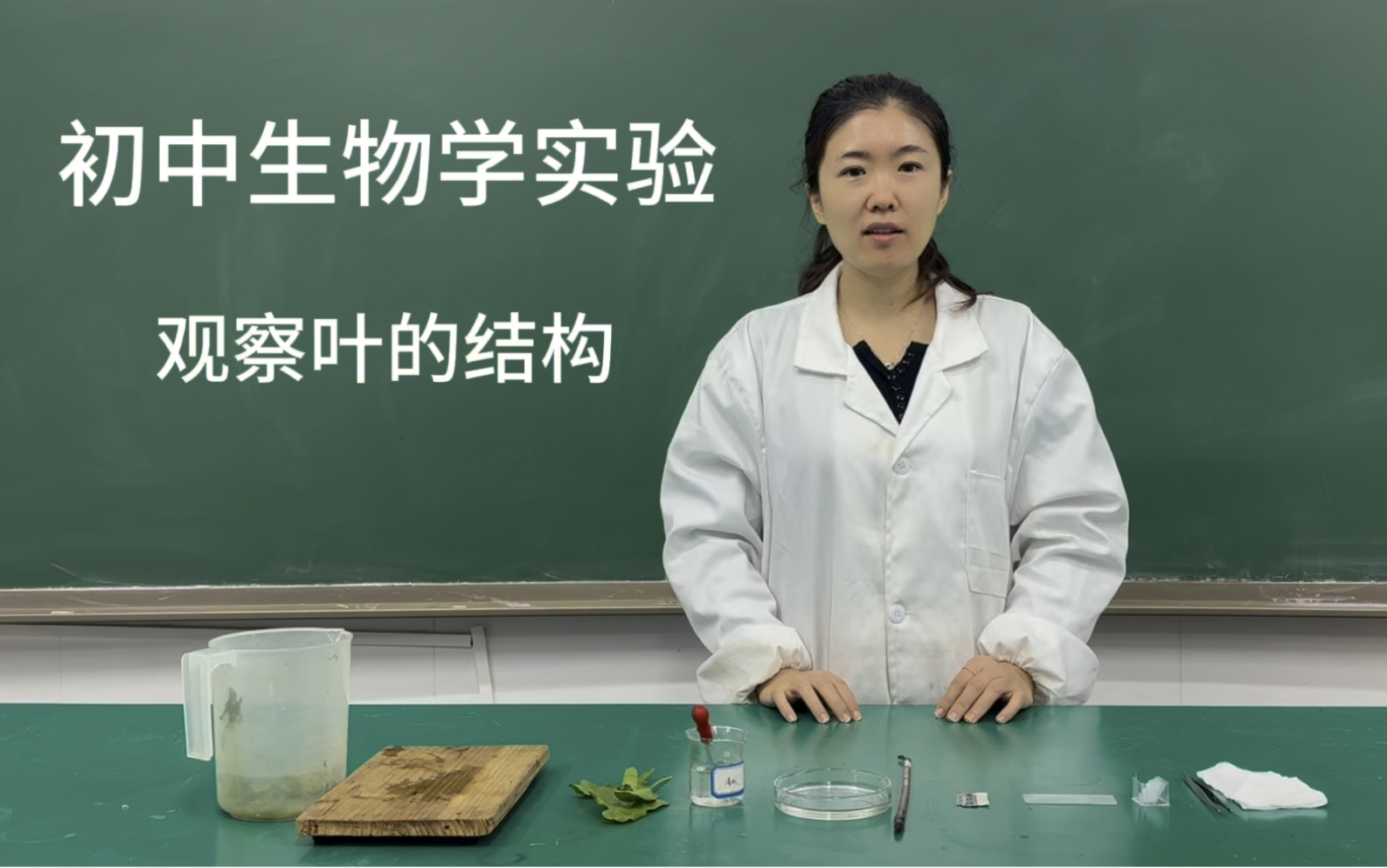 初中生物学实验观察叶的结构哔哩哔哩bilibili