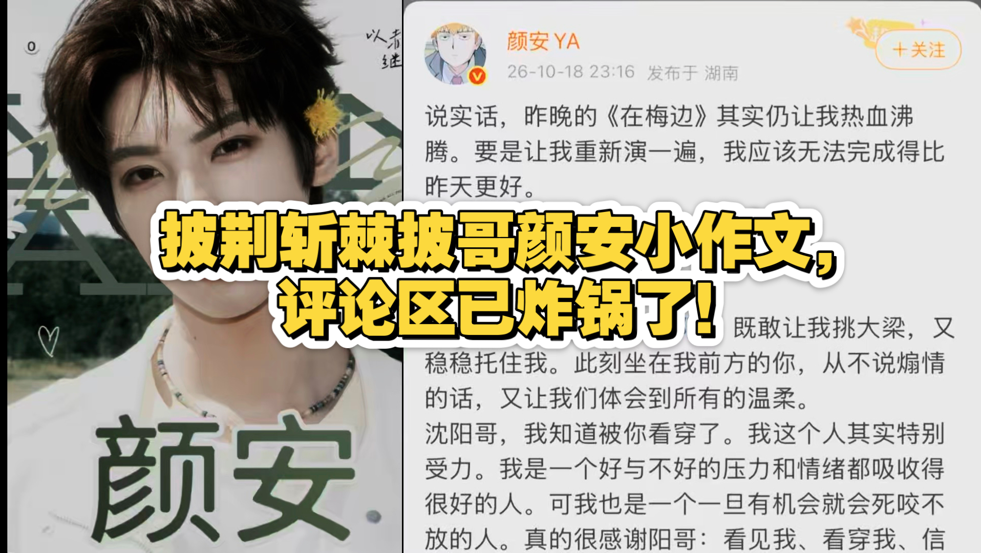 披荆斩棘披哥颜安小作文，评论区已炸锅了！
