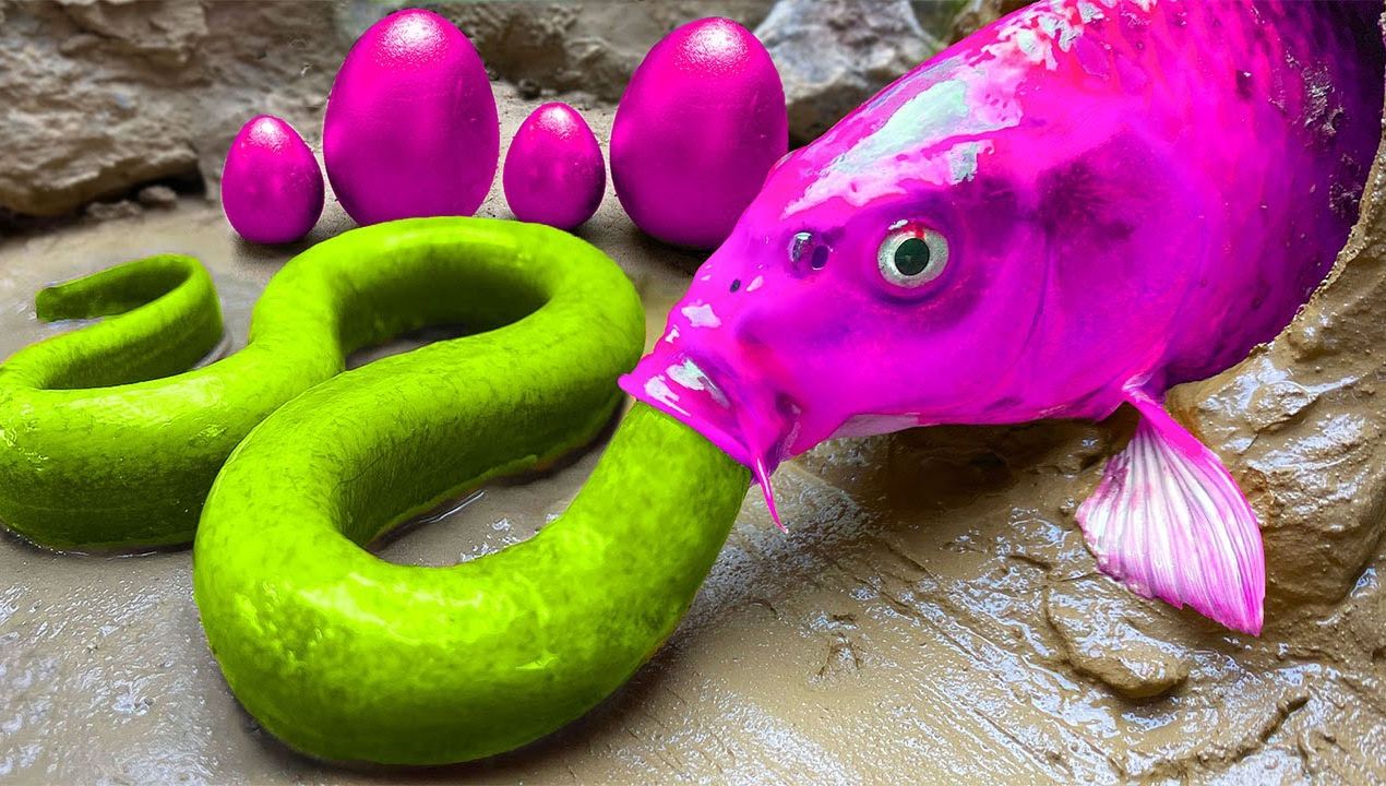 卡通搞笑彩虹鲤鱼,七彩鲶鱼,粉红青蛙陷阱壁虎!