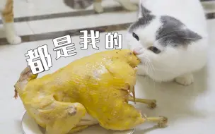 Download Video: 小奶猫太贪心，想私吞整只鸡，结果翻车了