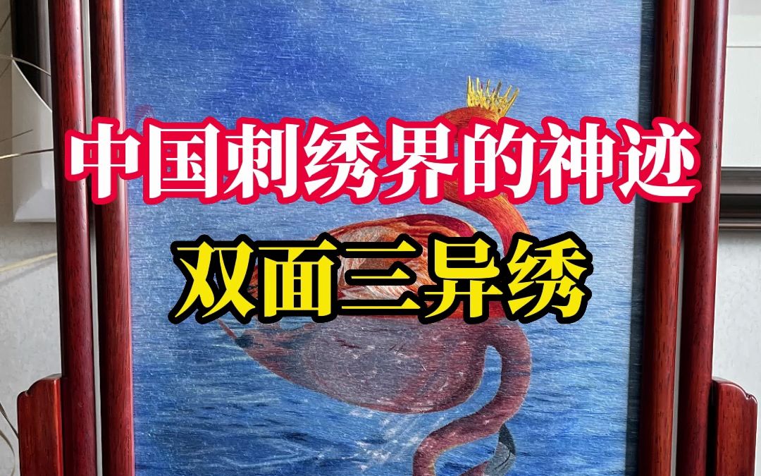 [图]90后女孩和奶奶面对面绣三异绣，中国传统文化薪火相传、生生不息，网友：长大后我就成了你！