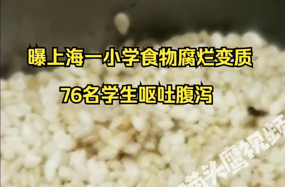 曝上海一小学食物腐烂变质76名学生呕吐腹泻,家长称食堂馒头过期、芝麻长虫、调料发霉哔哩哔哩bilibili