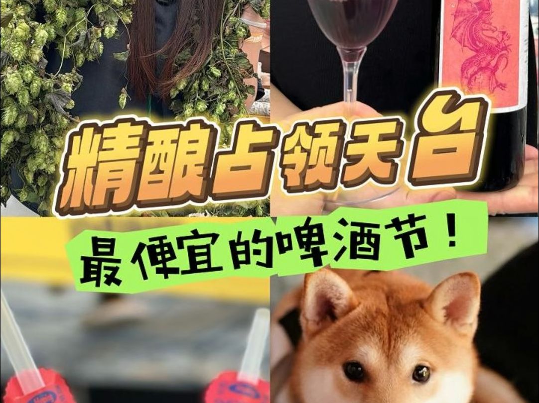 精酿占领天台!最便宜的啤酒节!哔哩哔哩bilibili