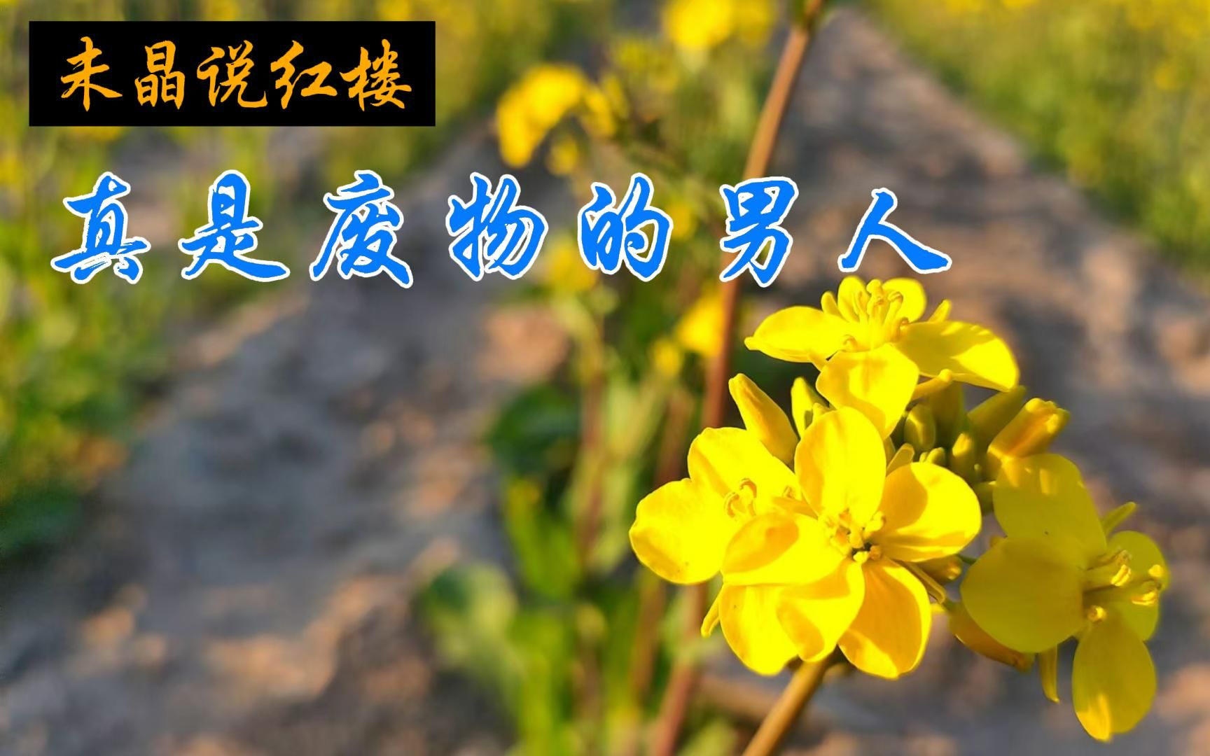 真是废物的男人202204131610