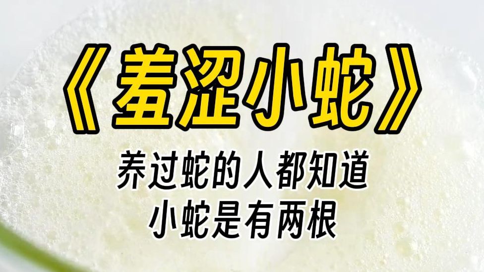 【羞涩小蛇】说一个冷知识,相信养过蛇的人都知道,小蛇是有两根的,还会开花,而且是藏在肚子里的.哔哩哔哩bilibili