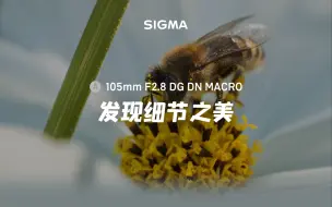 Download Video: 【外媒】微距利器 105mm F2.8 DG DN MACRO 发现细节之美