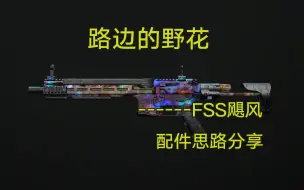 Tải video: 【使命召唤19】路边的野花------FSS飓风 配件思路分享