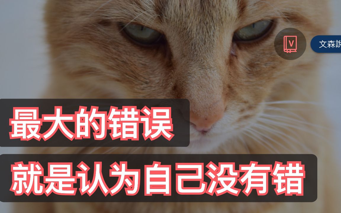 为什么错得愈离谱,我们就愈觉得自己是对的?|《错不在我》|文森说书