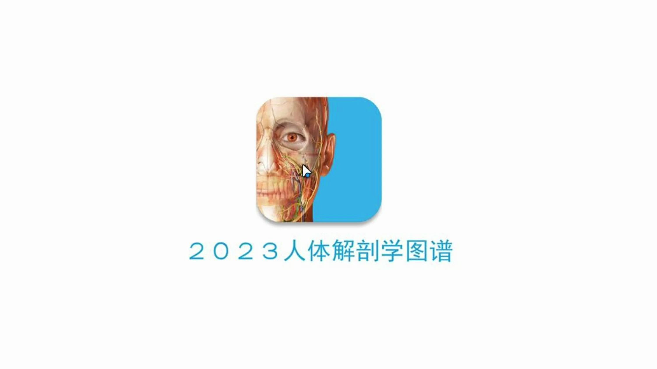 最好用的解剖学图谱,人体解剖学图谱(human anatomy atlas)直接安装版本哔哩哔哩bilibili