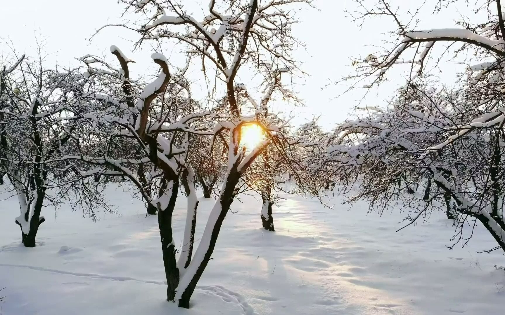 台湾若水老师绝世灵修《奇迹课程》全集心理学视频学习资料