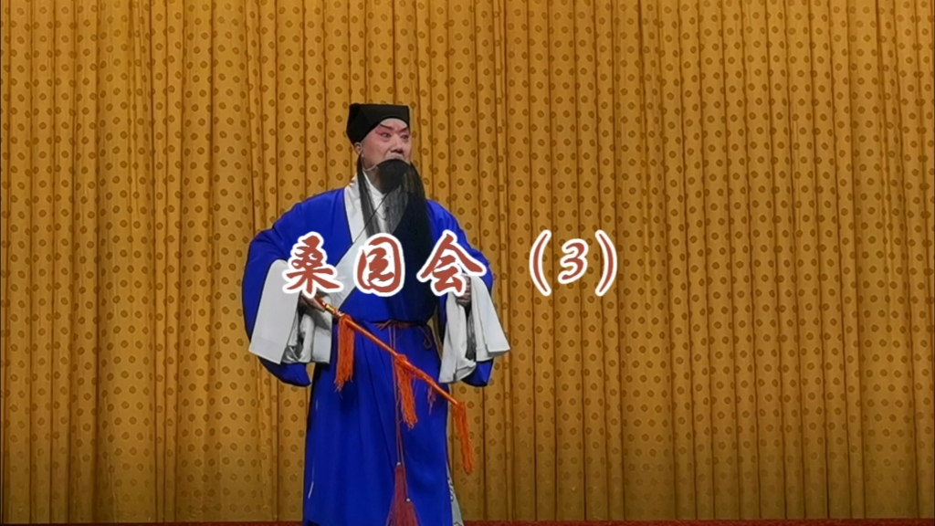 朱强,窦晓璇,黄柏雪演出京剧《桑园会》(3)