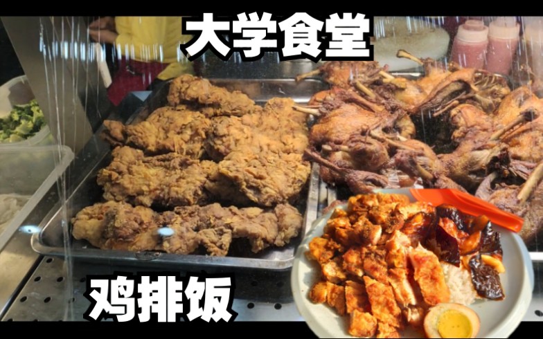 大学食堂里的鸡排饭,11元一份,满满全是肉这还只是小份??【大学食堂44】——孜然鸡排饭哔哩哔哩bilibili