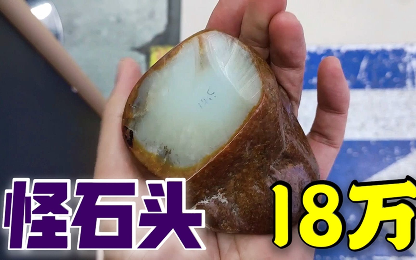 山里挖出的丑石头老纪切开一看结局意外外人少了18万拿不到手