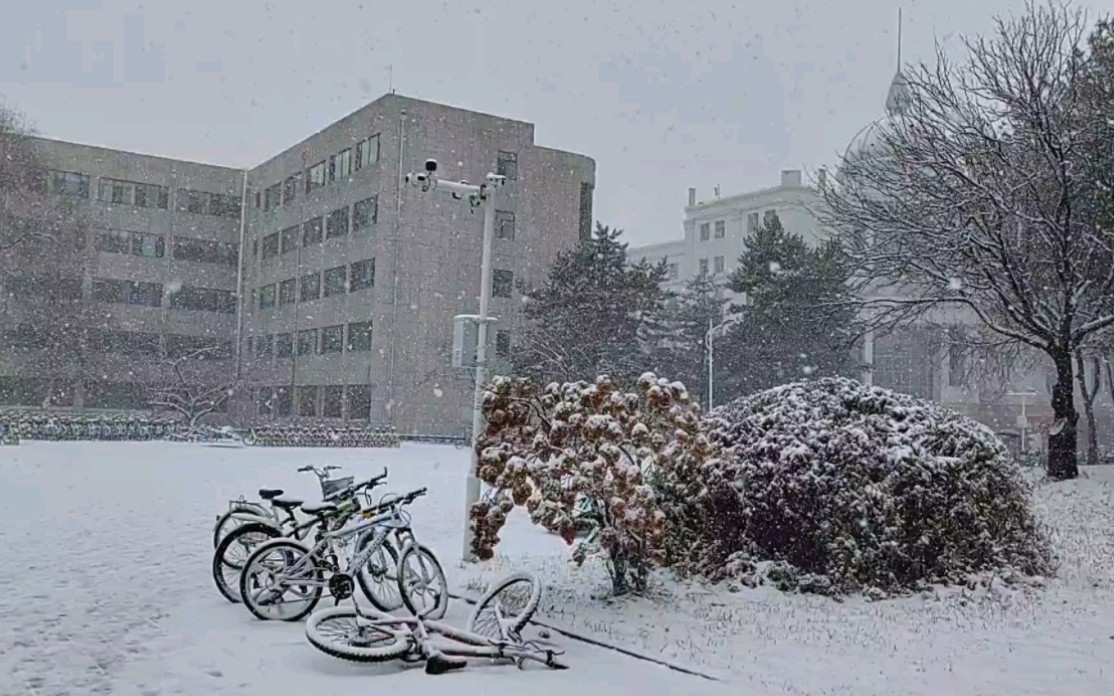 [图]东北，俩小时暴雪可以有多大