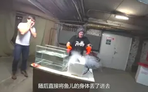 Скачать видео: 液氮的超低温到底有多强？大叔将鱼儿丢进液氮，结果会怎样？