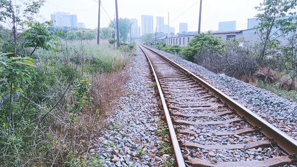 [图]城郊铁路