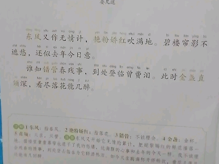 玉楼春哔哩哔哩bilibili