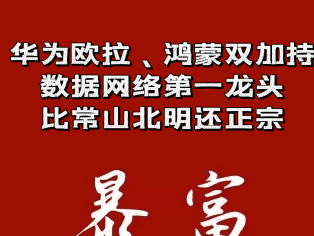 华为欧拉、鸿蒙双加持,数据网络第一龙头, 比常山北明还正宗哔哩哔哩bilibili