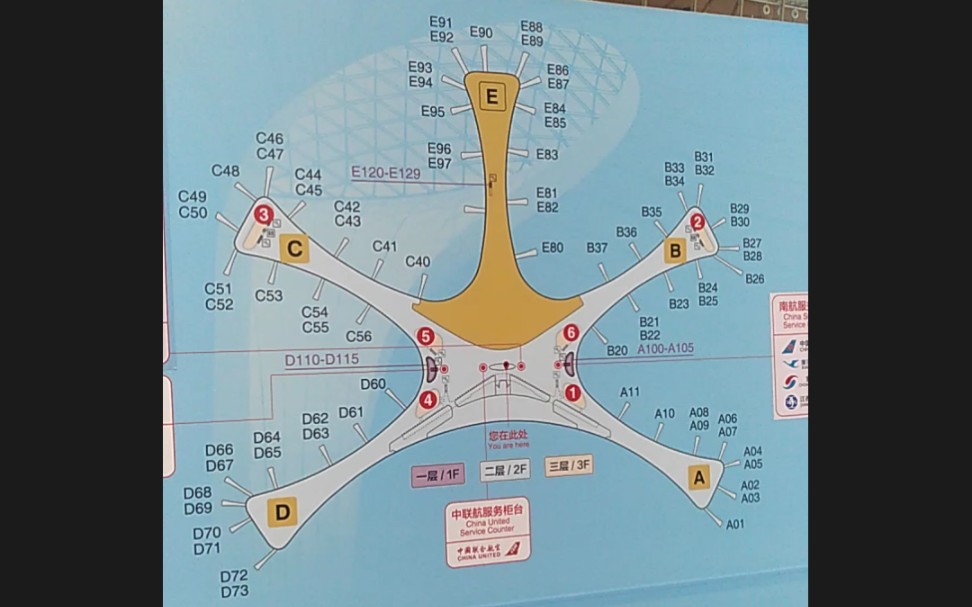 大兴机场剖面图像有五个腕五十个管足的海星美