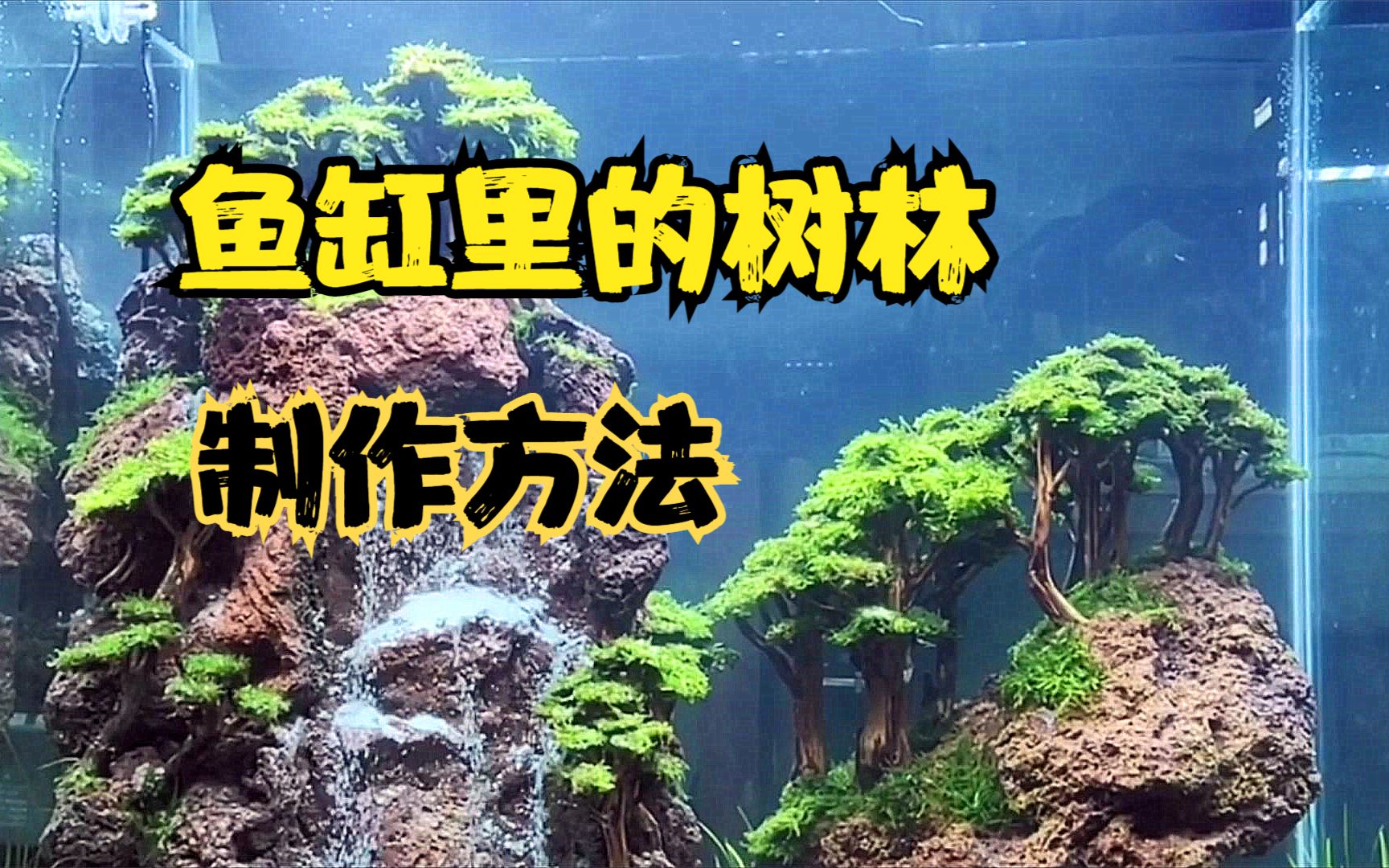 鱼缸里面做景观,树林制作方法介绍哔哩哔哩bilibili