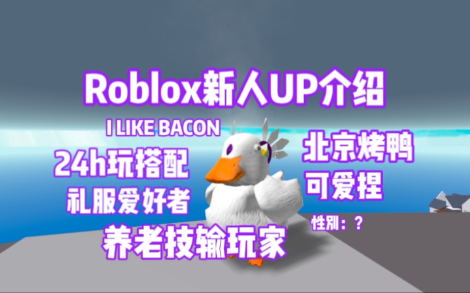 [Roblox/新人] R圈新人UP介绍逝频哔哩哔哩bilibili