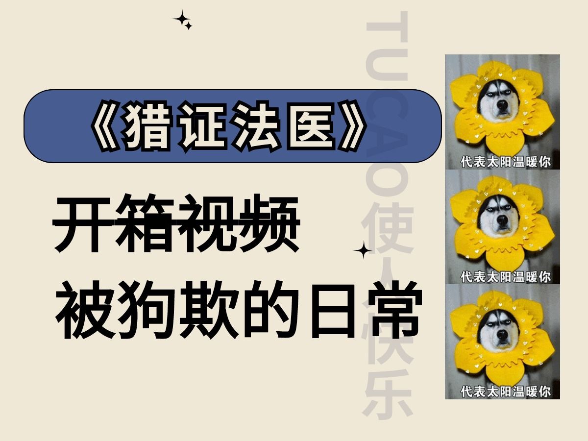 原耽开箱丨《猎证法医》开箱*,日常流水账汪汪汪√哔哩哔哩bilibili