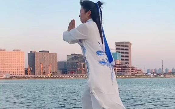 【武术运动】传统武术养生拳佛拳观音拳背面完整版演示哔哩哔哩bilibili