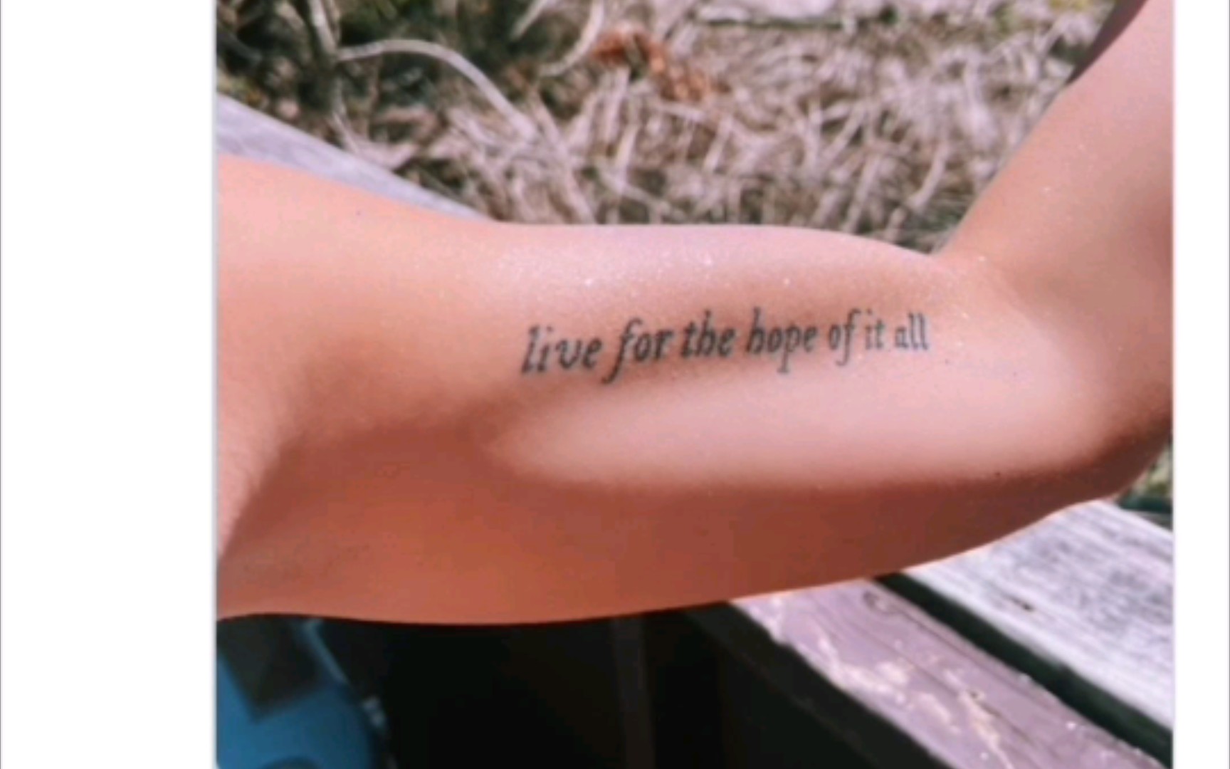 外国网友纷纷展示自己关于霉霉的纹身