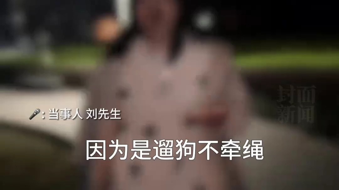 重庆一男子质问女邻居遛狗为何不牵绳，反被辱骂殴打致轻伤二级，狗主人被立案后取保候审，当事人控诉狗主人至今未道歉：还通过司法诉讼报复我。
