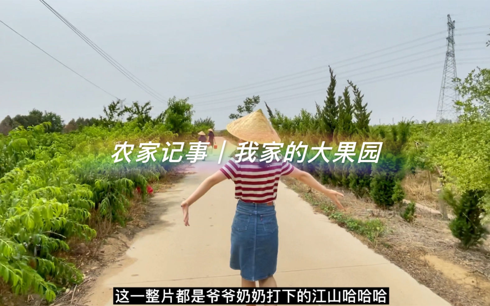 农家记事|我家的大果园哔哩哔哩bilibili